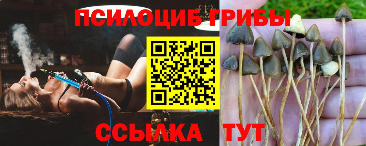 Балабаново  Галлюциногенные грибы MAGIC MUSHROOMS  Вход с VPN 