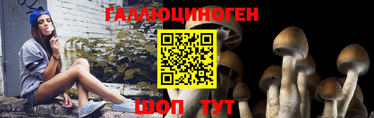 Галлюциногенные грибы мицелий Балабаново